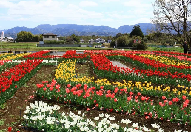 Okabaru Flower Park
