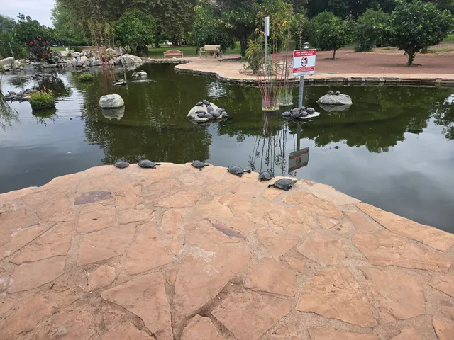 The Last Orange Grove in the Valley