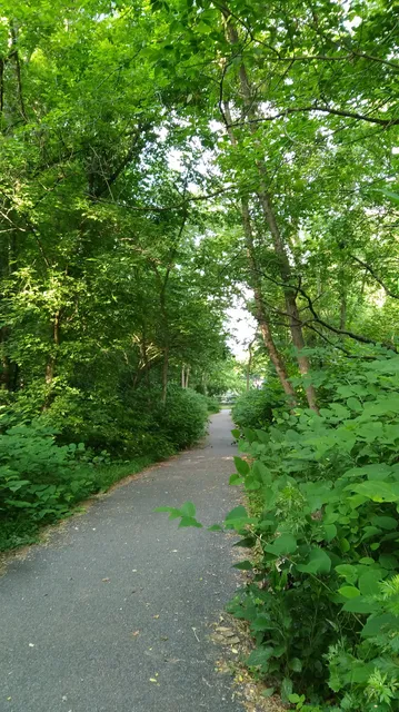 Elliott Street Playground
