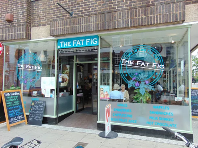 The Fat Fig