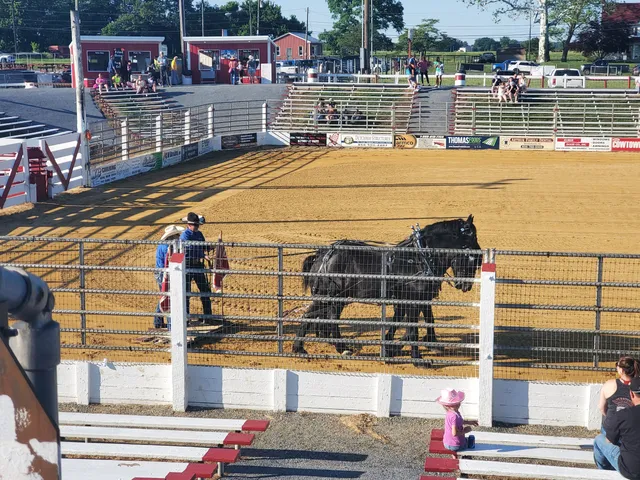 Cowtown Rodeo