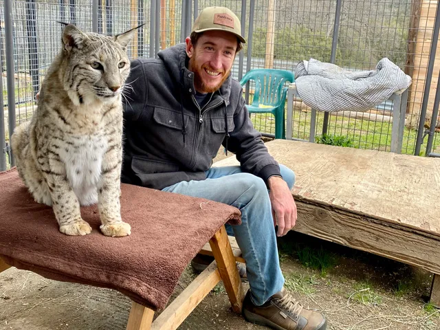 The Nature of Wildworks