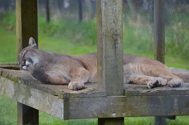 Two Rivers Wildlife Park