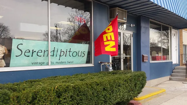 Serendipitous Vintage