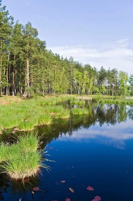 National Park "Orlovskoye Polesye"