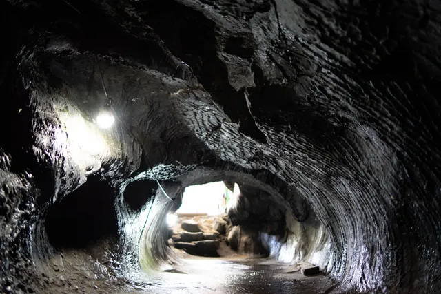 Funatsu Lava Tree Molds