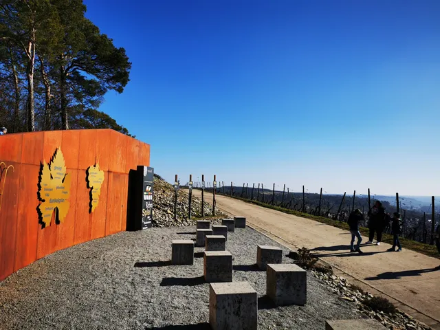 terroir f Eibelstadt - Reben-Spiel