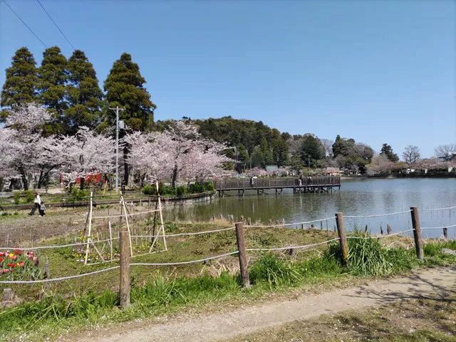 Hakkakuko Park
