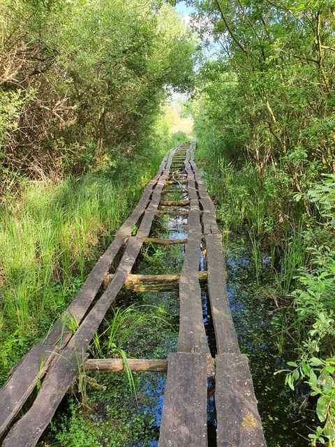 Vörös-mocsár tanösvény