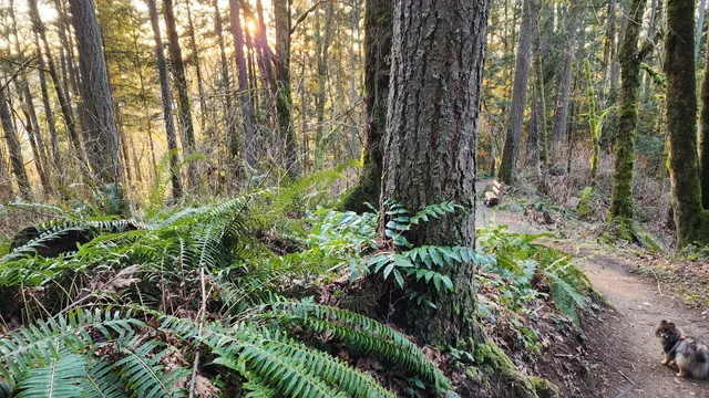 Gold Creek County Park
