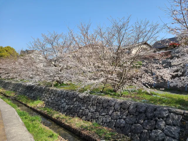 Shimo-Kaiinji Saijo Park