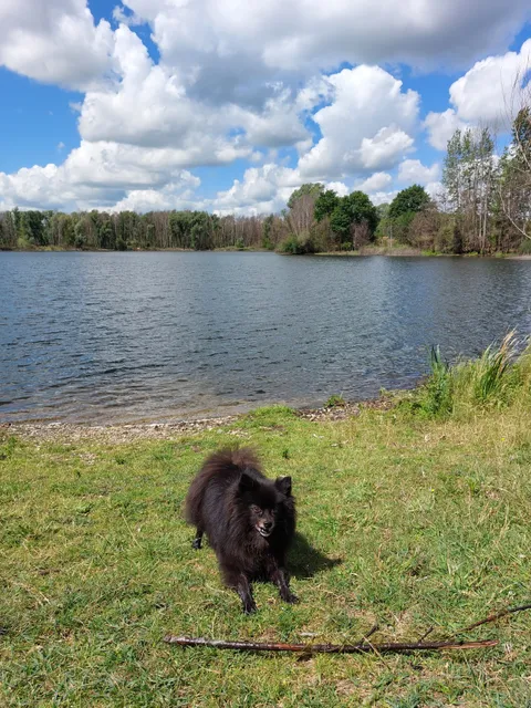 Start wandelingen Aldeneik RivierPark Maasvallei