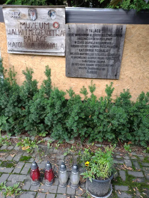 Muzeum Palace - Muzeum Tatrzańskie