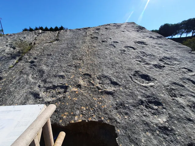 Monumento Natural da Pedreira do Avelino
