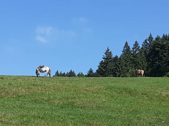 Chata na Suchom vrchu