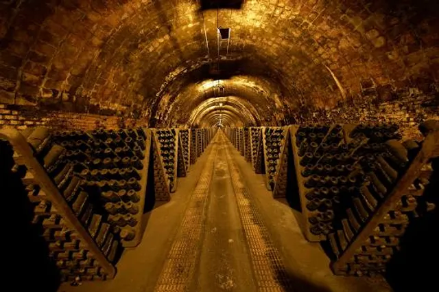 Caves Codorniu