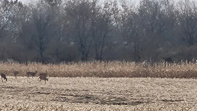 Edward R Madigan State Park