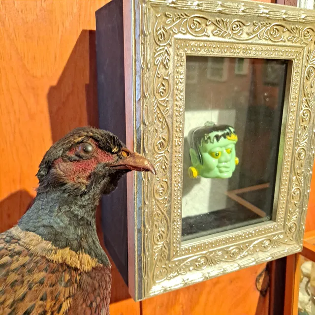 Museum of Natural & Artificial Ephemerata