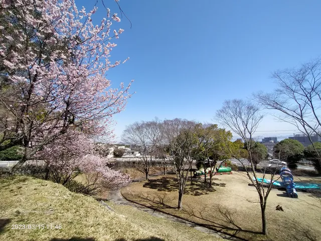 place image
