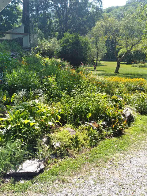 The Georgi on the Battenkill