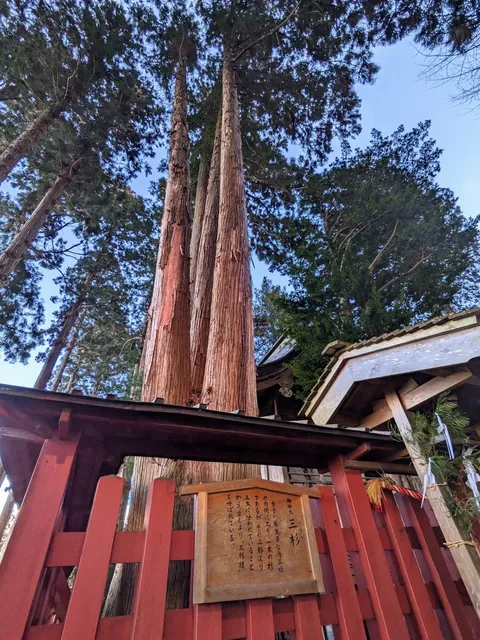 photo-1