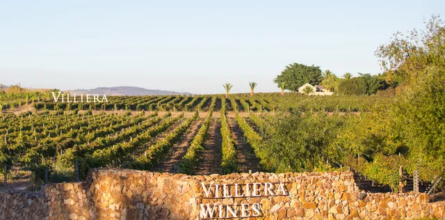 Villiera Wines