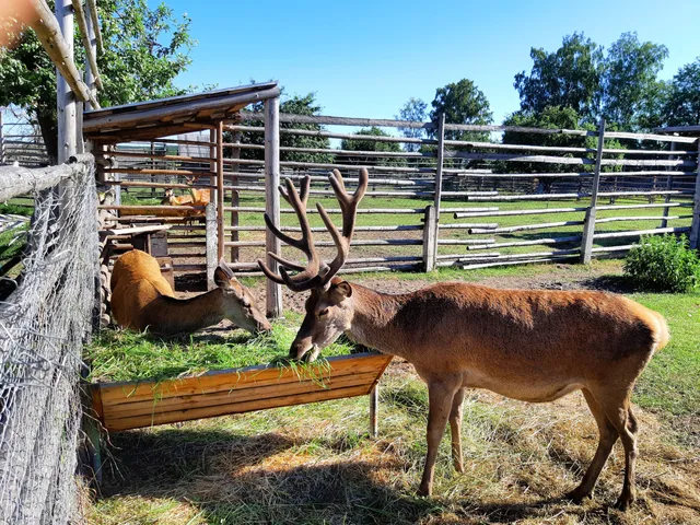 Zoopark Zolotoy Fazan Ruzhany