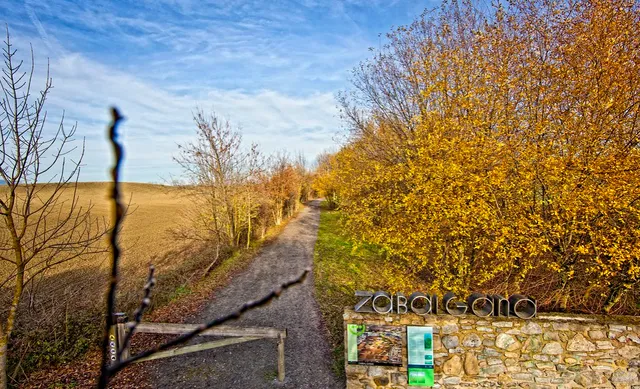 Eraztun berdea / Anillo verde - Zabalgana