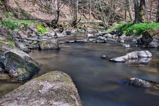 Perlbachtal, Mitterfels