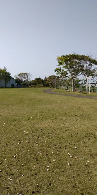 光しおさい公園（横芝光町光B&G海洋センター温水プール併設）