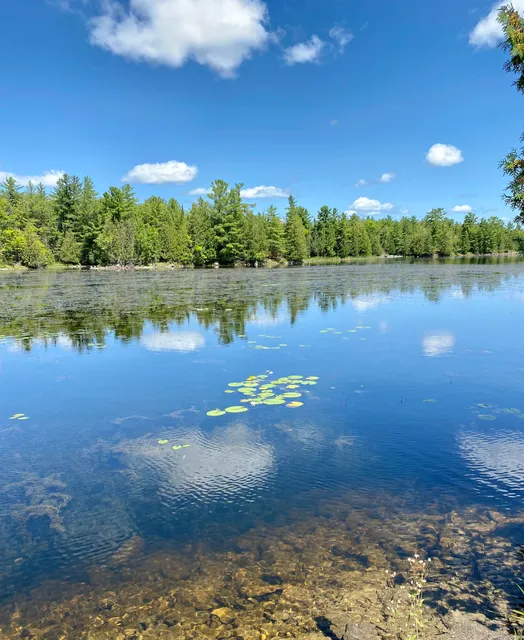 Morris Island Conservation Area