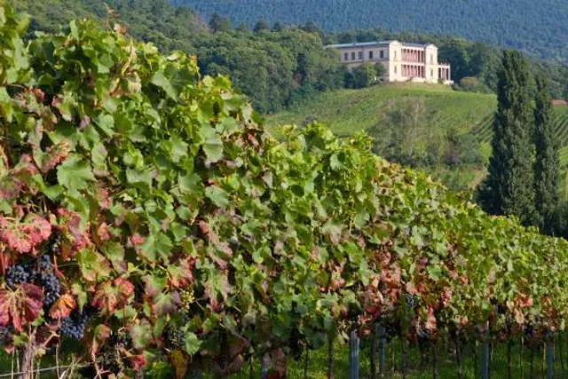 Castle Villa Ludwigshöhe