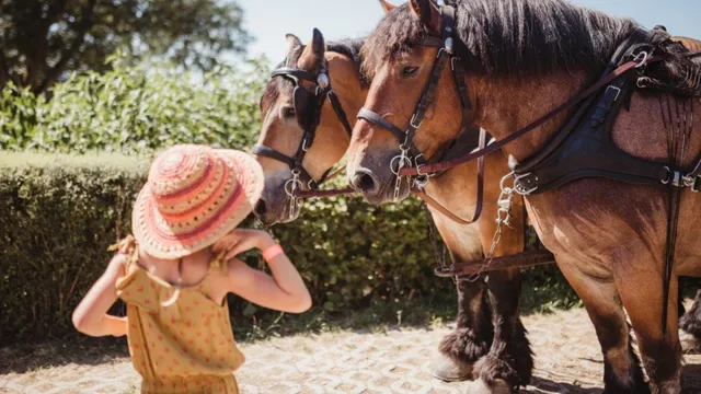 Tourist Center Robbesscheier