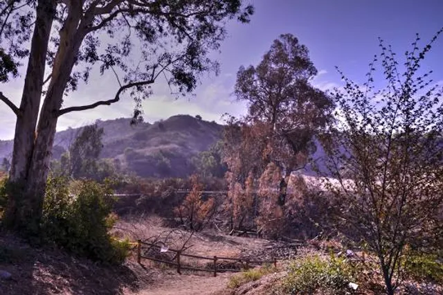 Carbon Canyon Regional Park