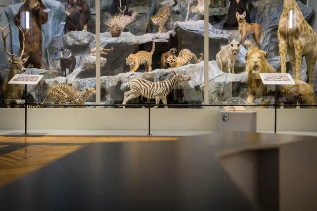 Natural History Museum