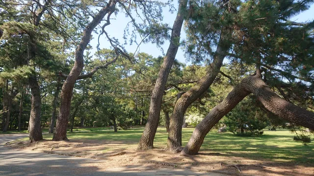 Takashi Ryokuchi Park