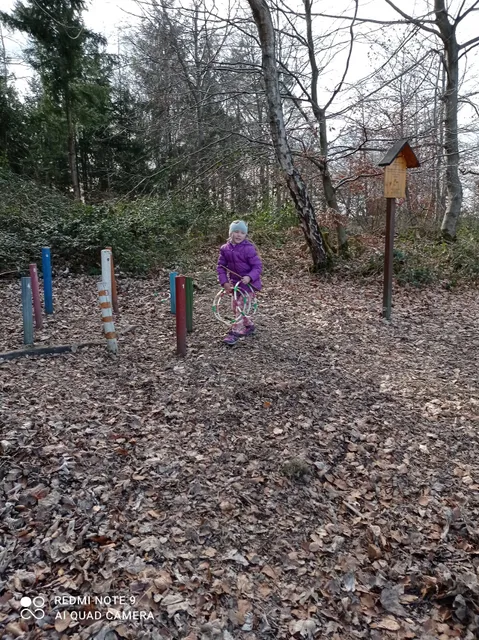 Naturerlebnispfad Daufenbach