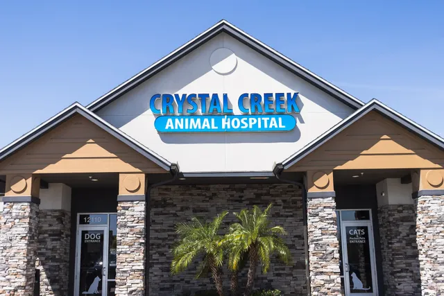 Crystal Creek Animal Hospital