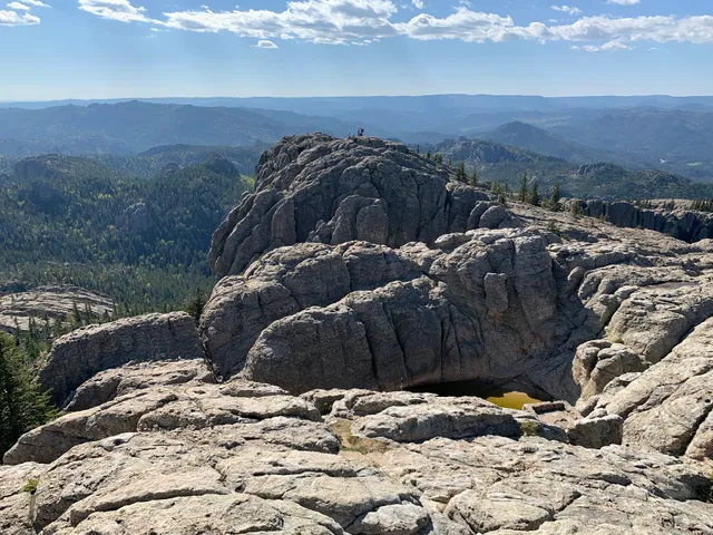 Black Hills National Forest