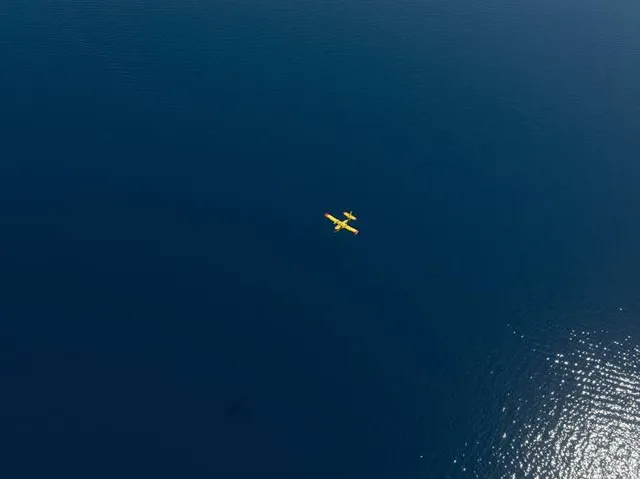 Bahamas Adventures Freeport