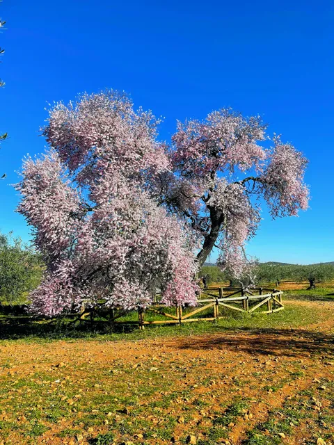 Valverde de Leganés