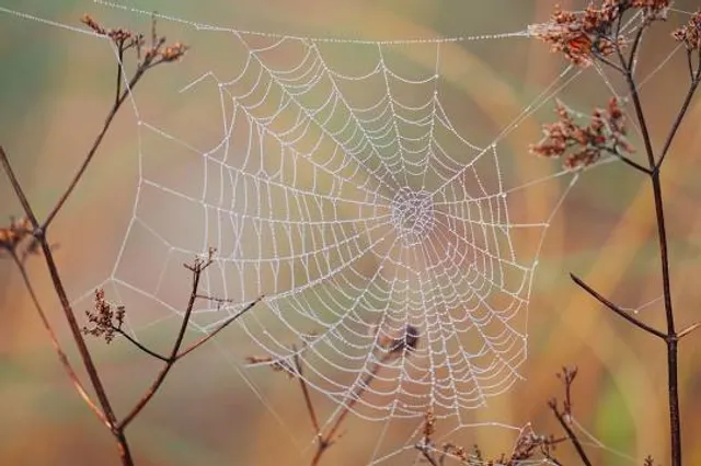 Wilhelm-Ostwald Park