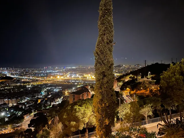 Ladera grup de velers RC Ikarus