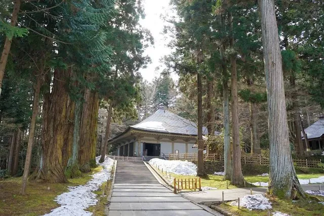 photo-1