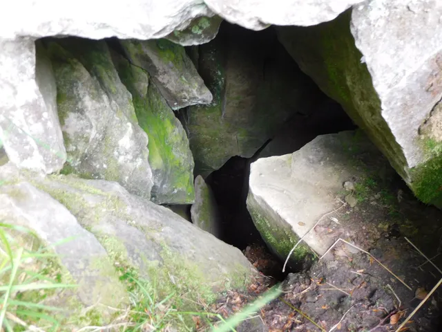 Jaskinia Głęboka w Stołowie