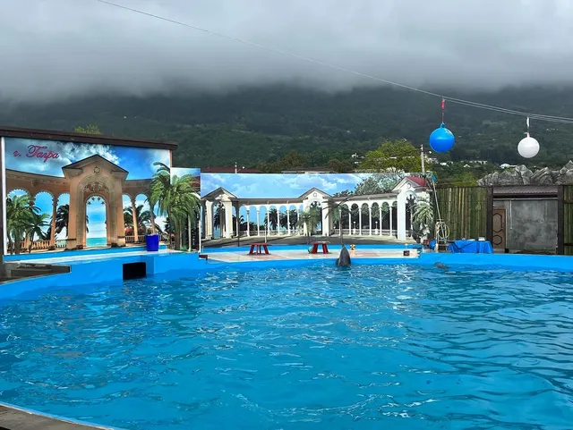 Национальный дельфинарий