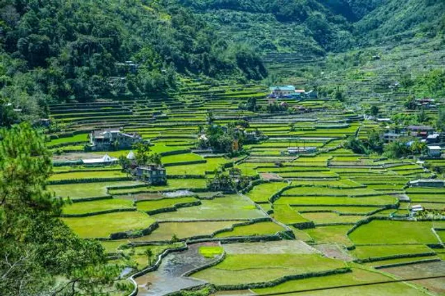 Hapao Rice Terraces