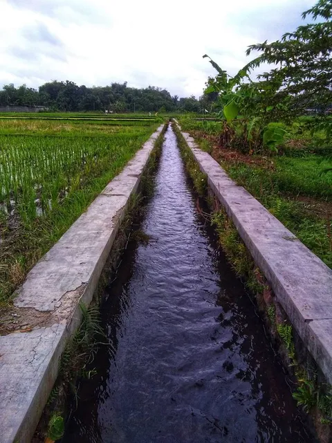 Water Byur Sumber Ponjong