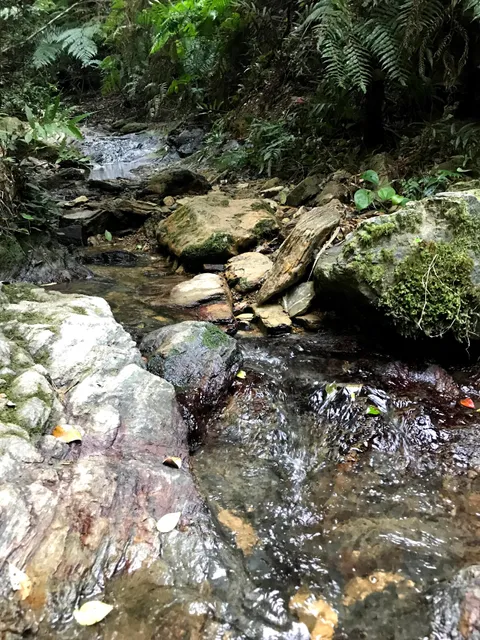 Uruma Citizen’s Forest Park