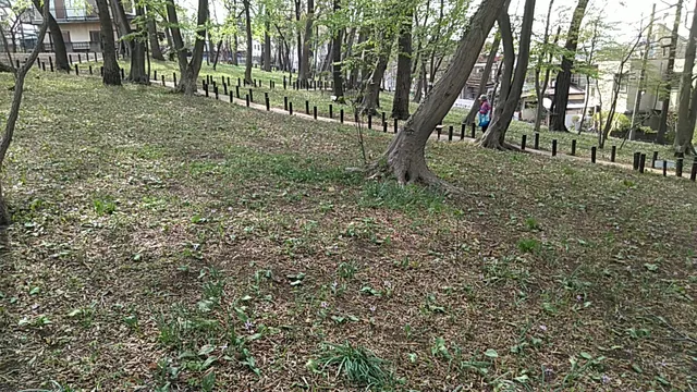 place image